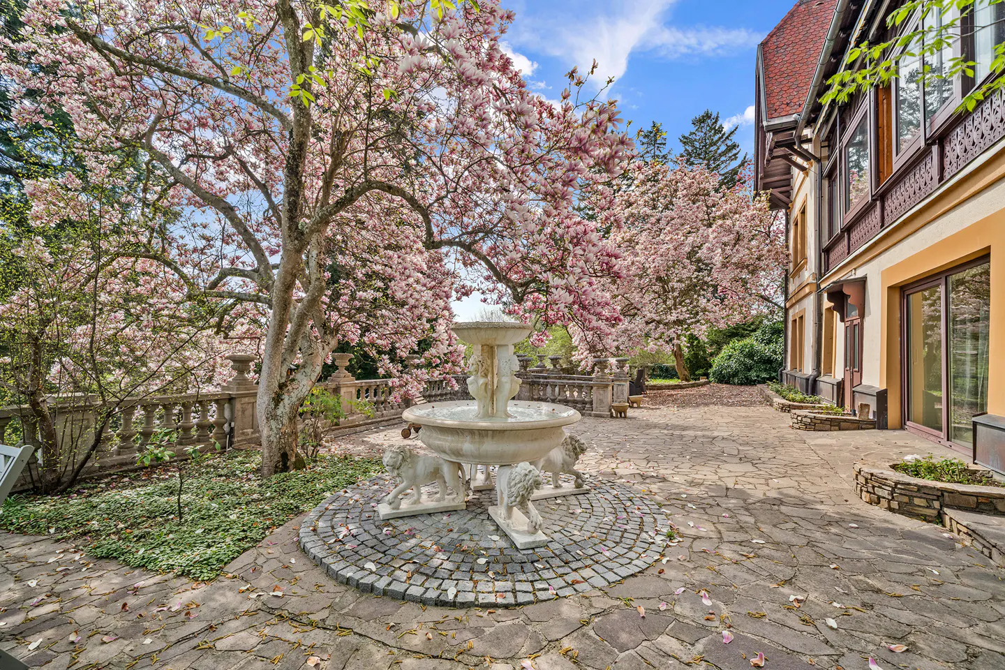 Stone patio with a fountain featuring lion statues, surrounded by blooming pink magnolia trees and a building with orange walls.
