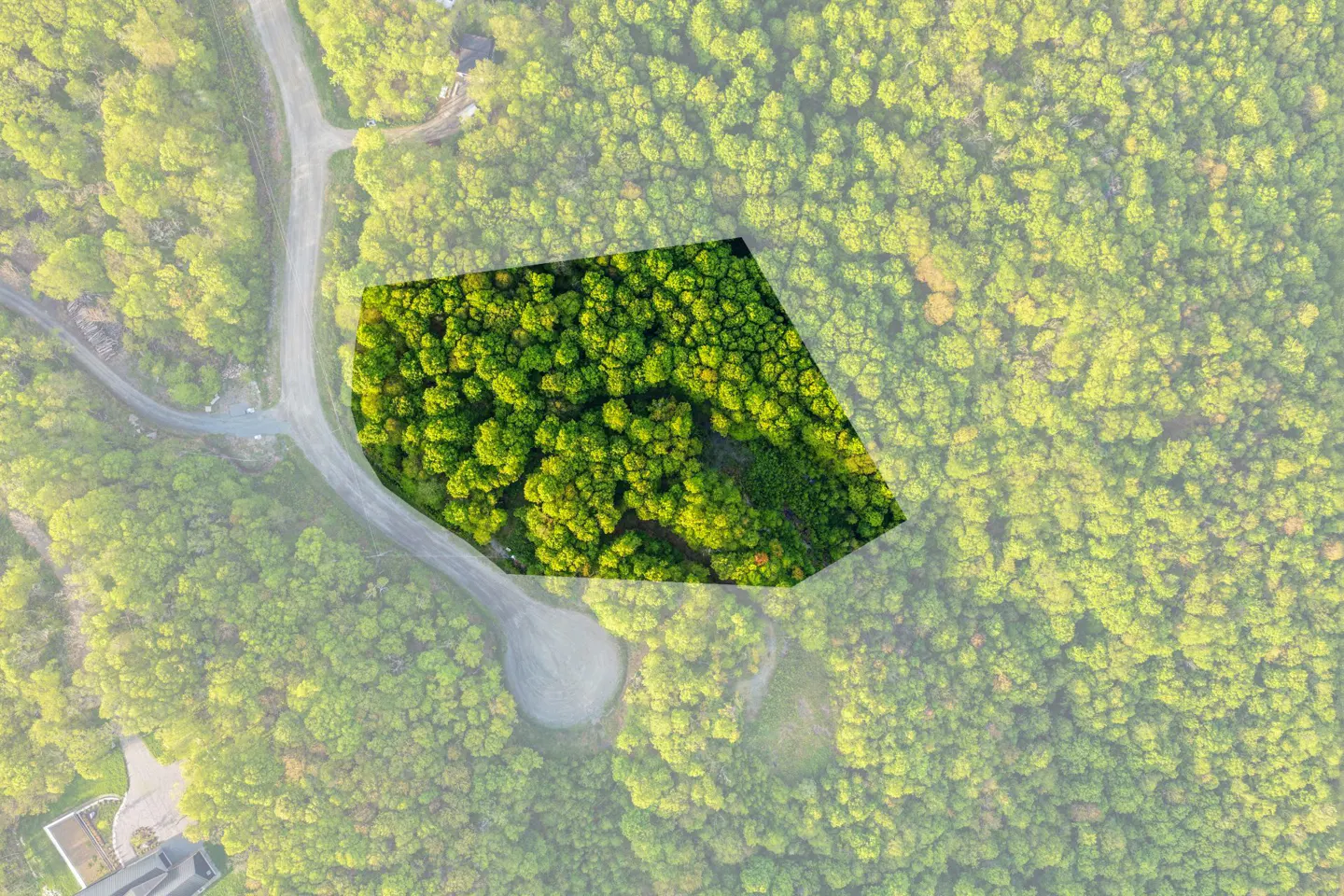 Aerial view of a wooded lot highlighted by a polygon overlay, situated next to a winding paved road in a forest.