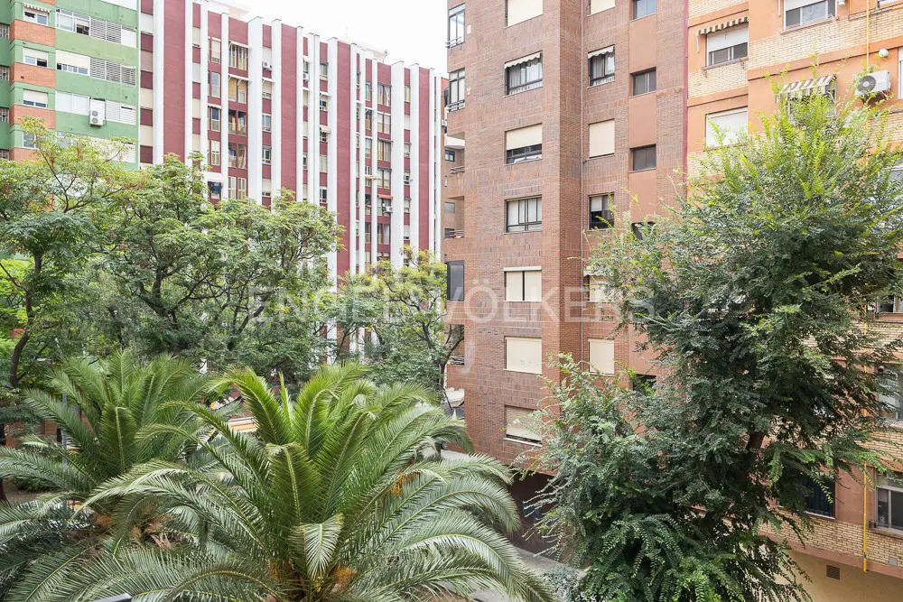 View of tall apartment buildings with palm trees and green trees in the foreground. The buildings are brick and painted in red, white, and green.