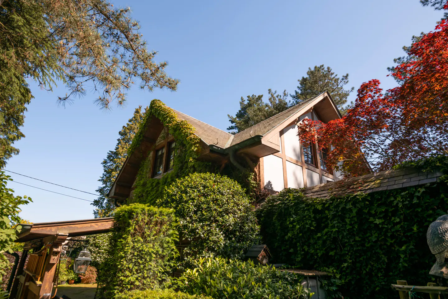 A Tudor-style home with ivy-covered walls, surrounded by lush greenery and vibrant red autumn leaves under a clear blue sky.