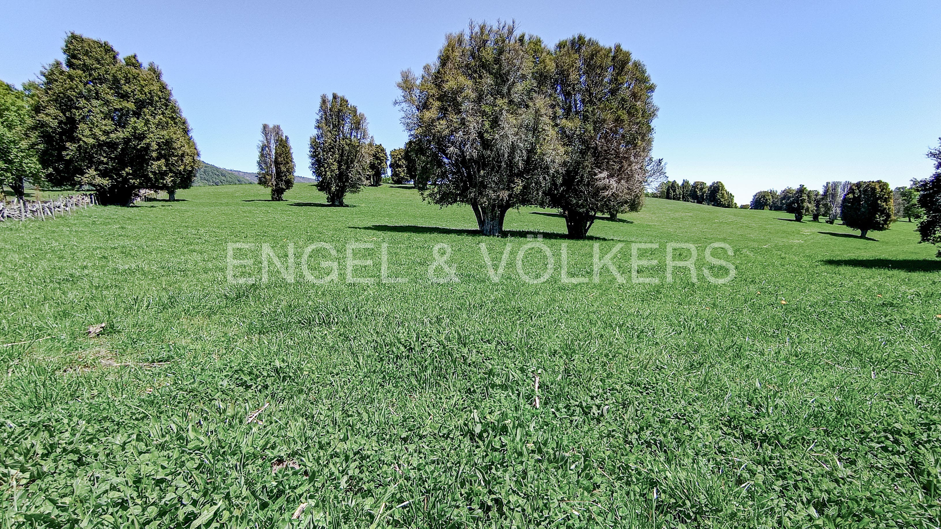 Campo Criadero de Caballos Chilenos