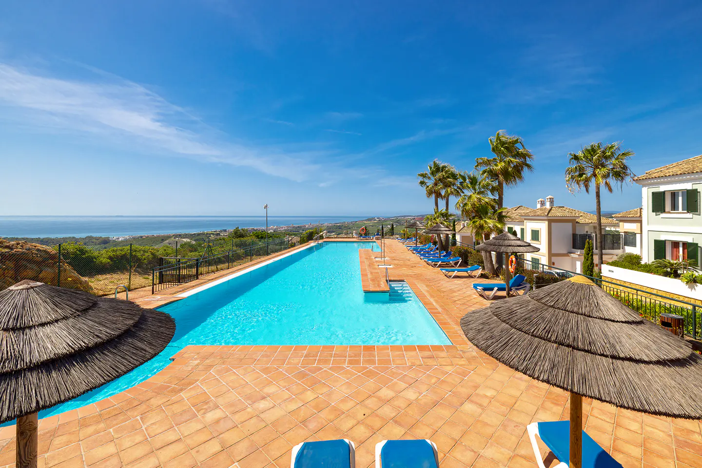 A sunny outdoor pool area with blue water, brown tile, palm trees, and lounge chairs overlooking the ocean.