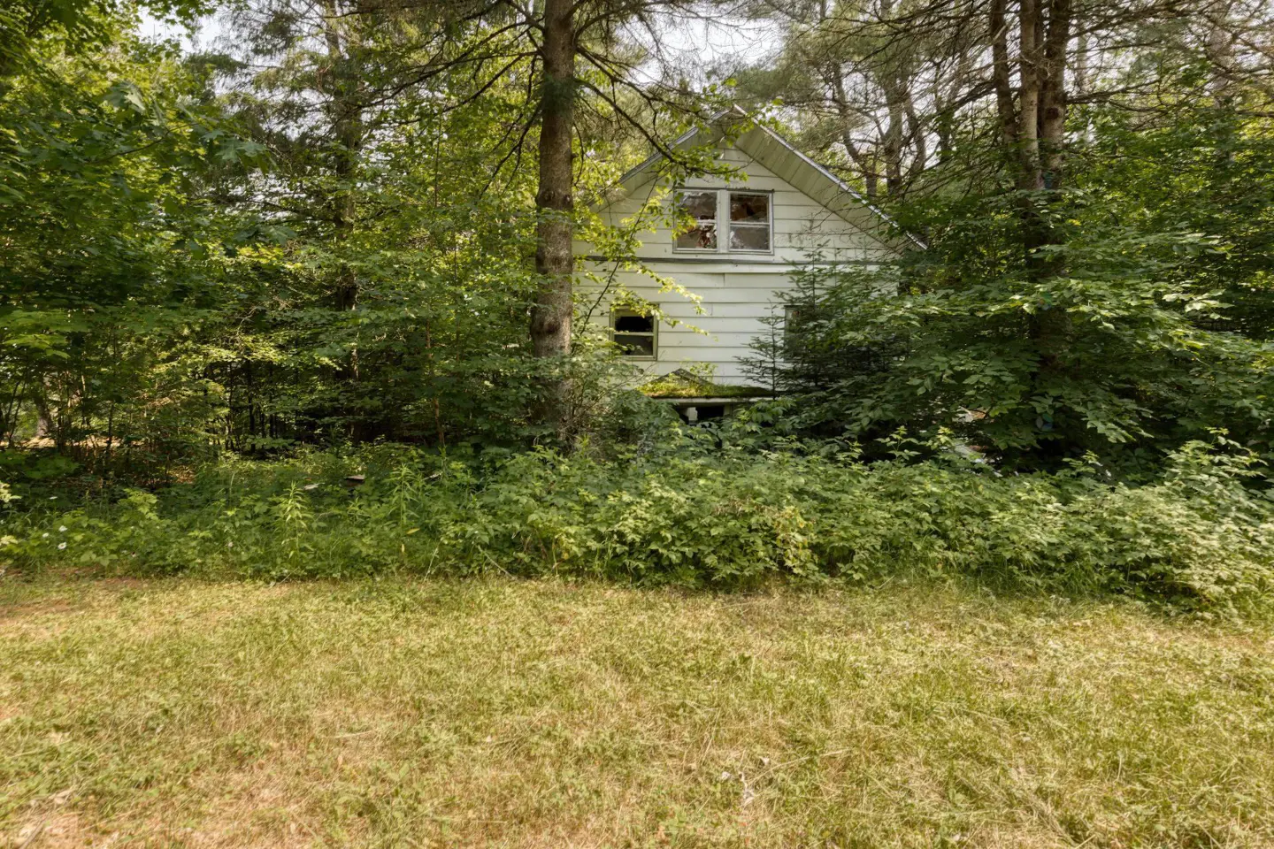 A small, white house is nestled among green trees and bushes, with a grassy lawn in front.