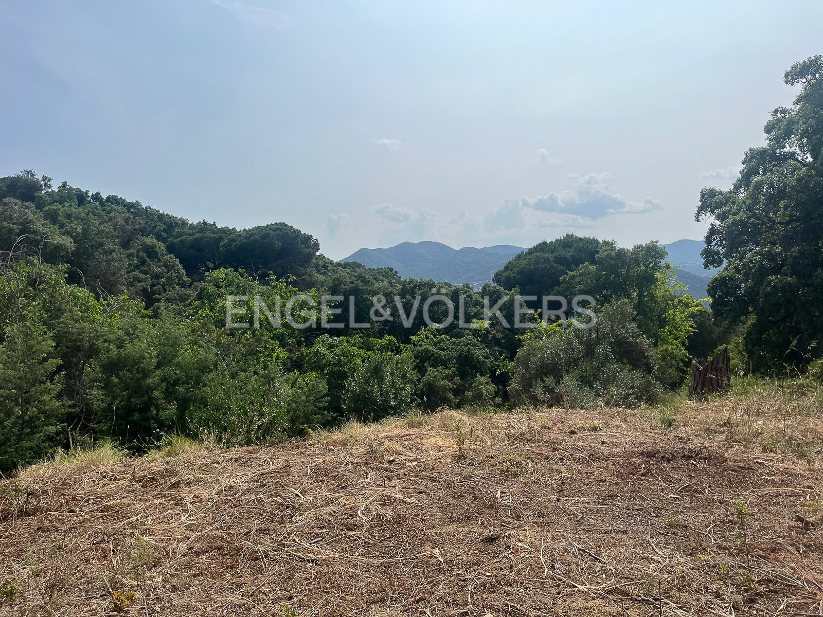Fabulous land in Argentona ready for construction.