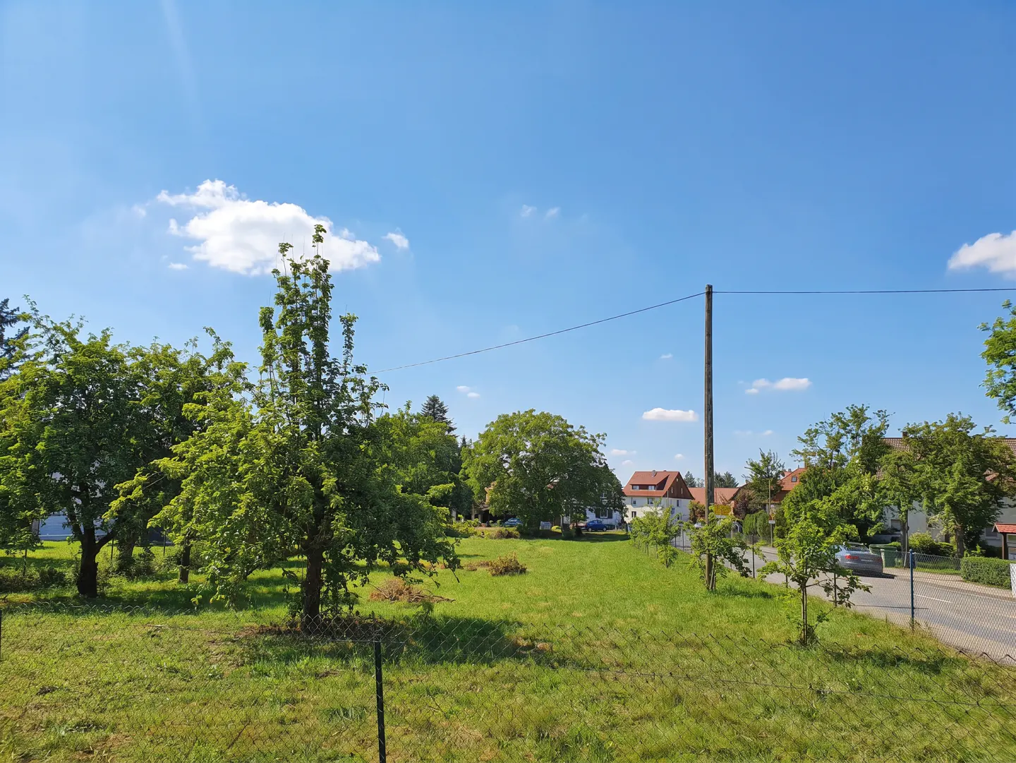 A grassy lot with trees under a blue sky with clouds. Houses are visible in the background.