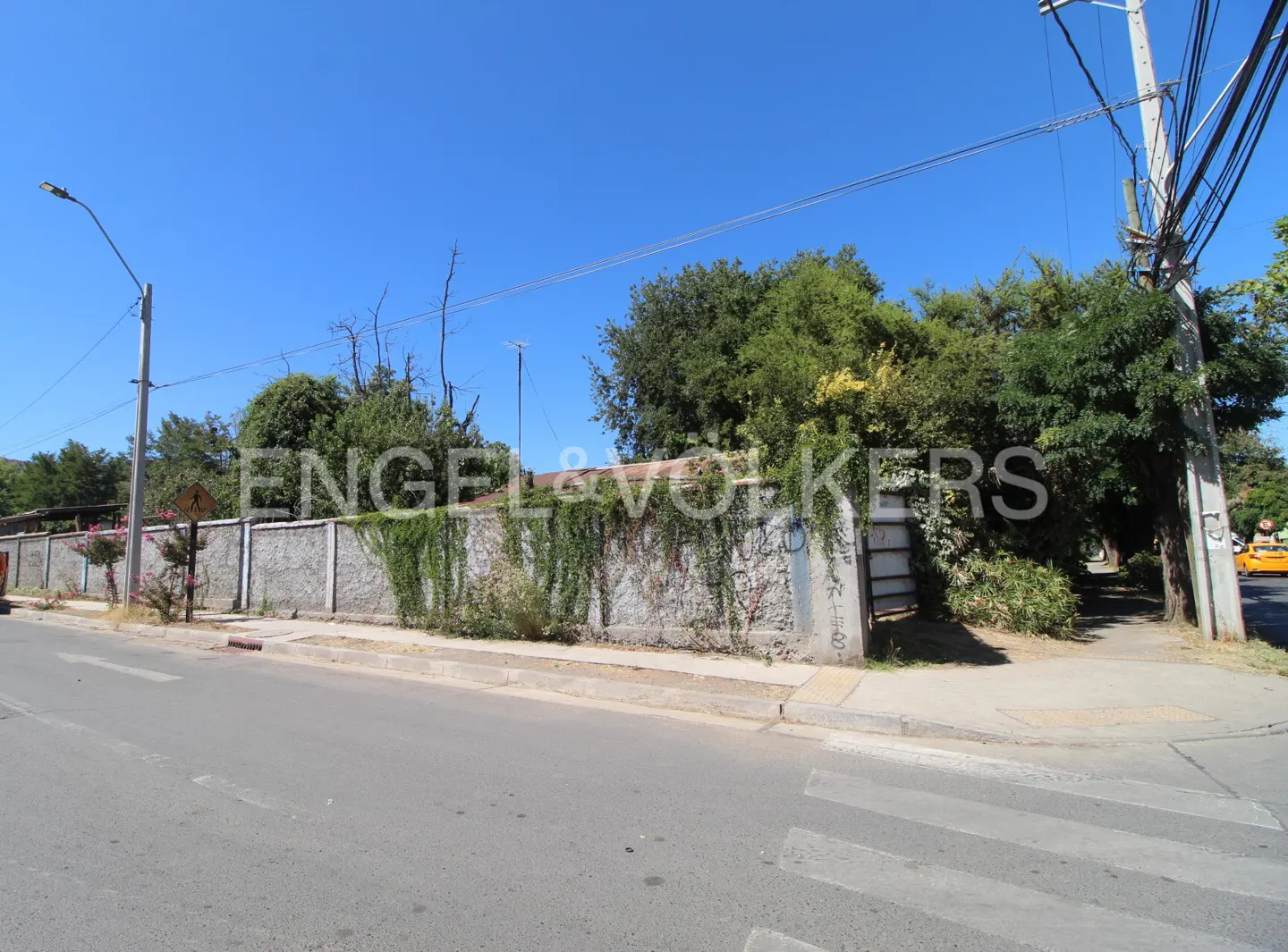 Street view of a property with a tall, ivy-covered concrete wall under a clear blue sky. Trees and power lines are visible above the wall.