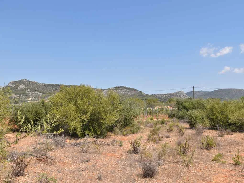 Building plot with license close to Llucmajor