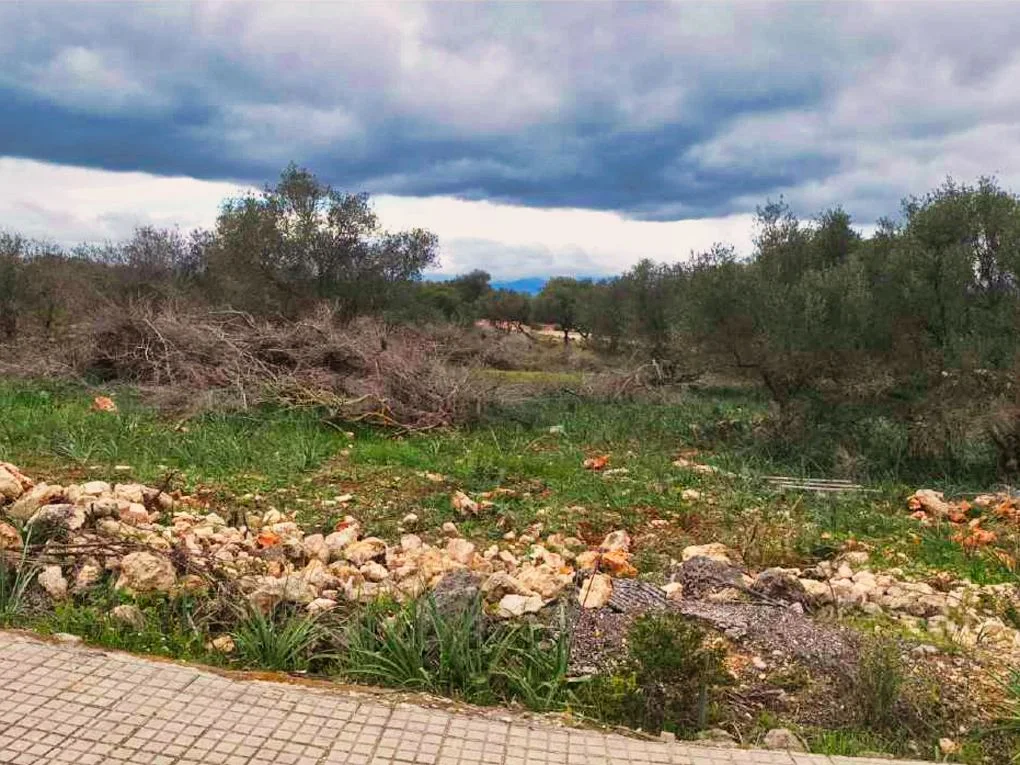 Plot with views in Son Gual