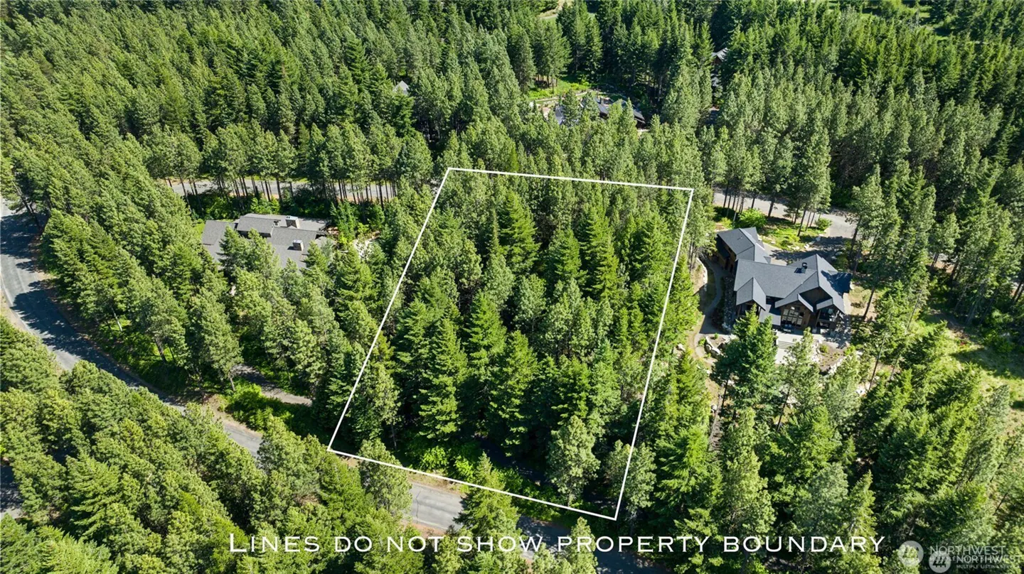 Aerial view of a wooded lot surrounded by tall green trees, marked with a white outline. A road and houses are visible nearby.
