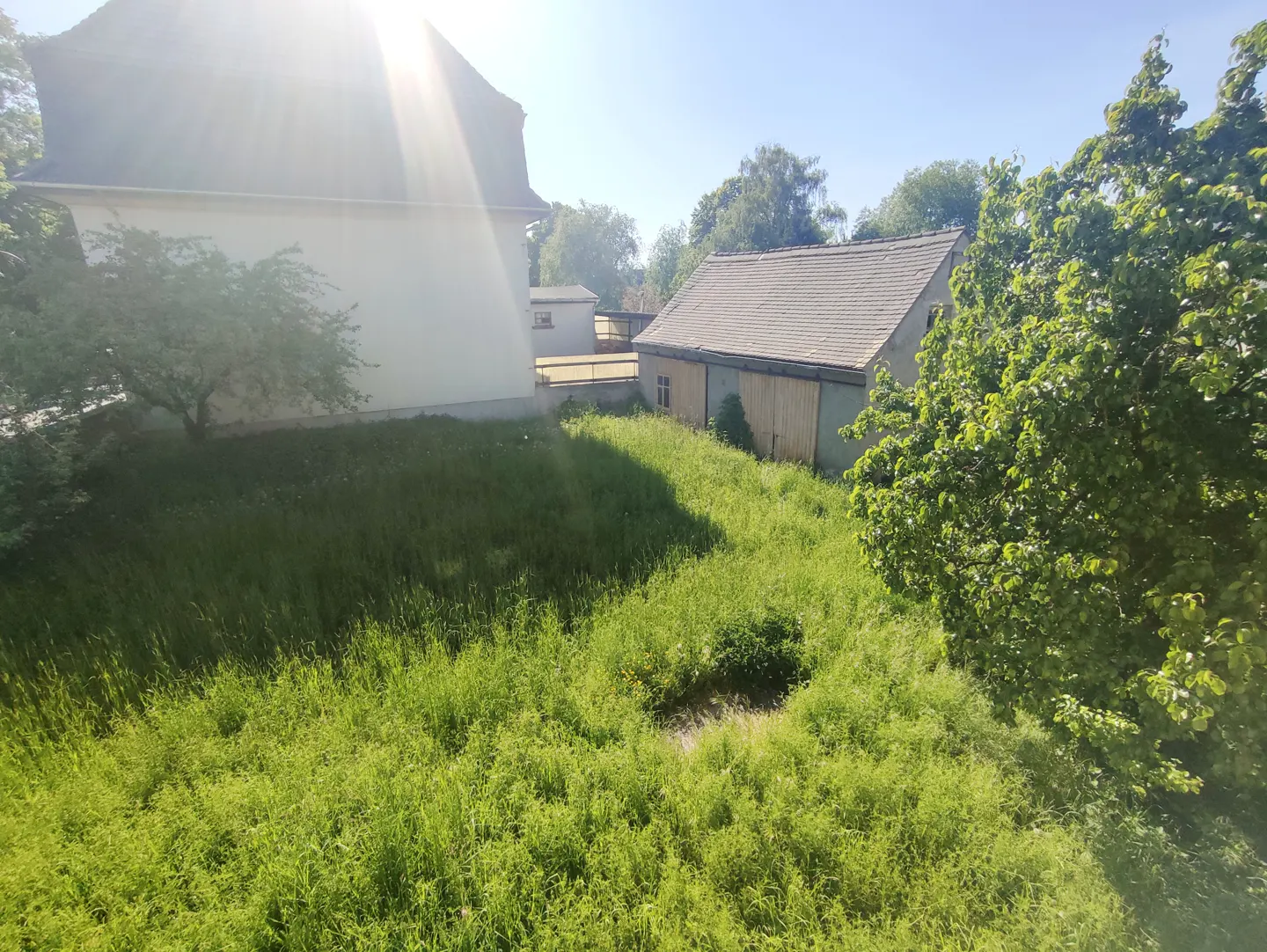 A sunny view of a grassy yard with a white house and a shed with a gray roof.