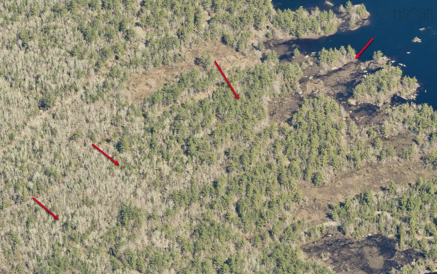 Aerial view of a wooded area with a dark blue lake on the right side. The trees are mostly green, with some bare trees. There are four red arrows pointing to different areas.