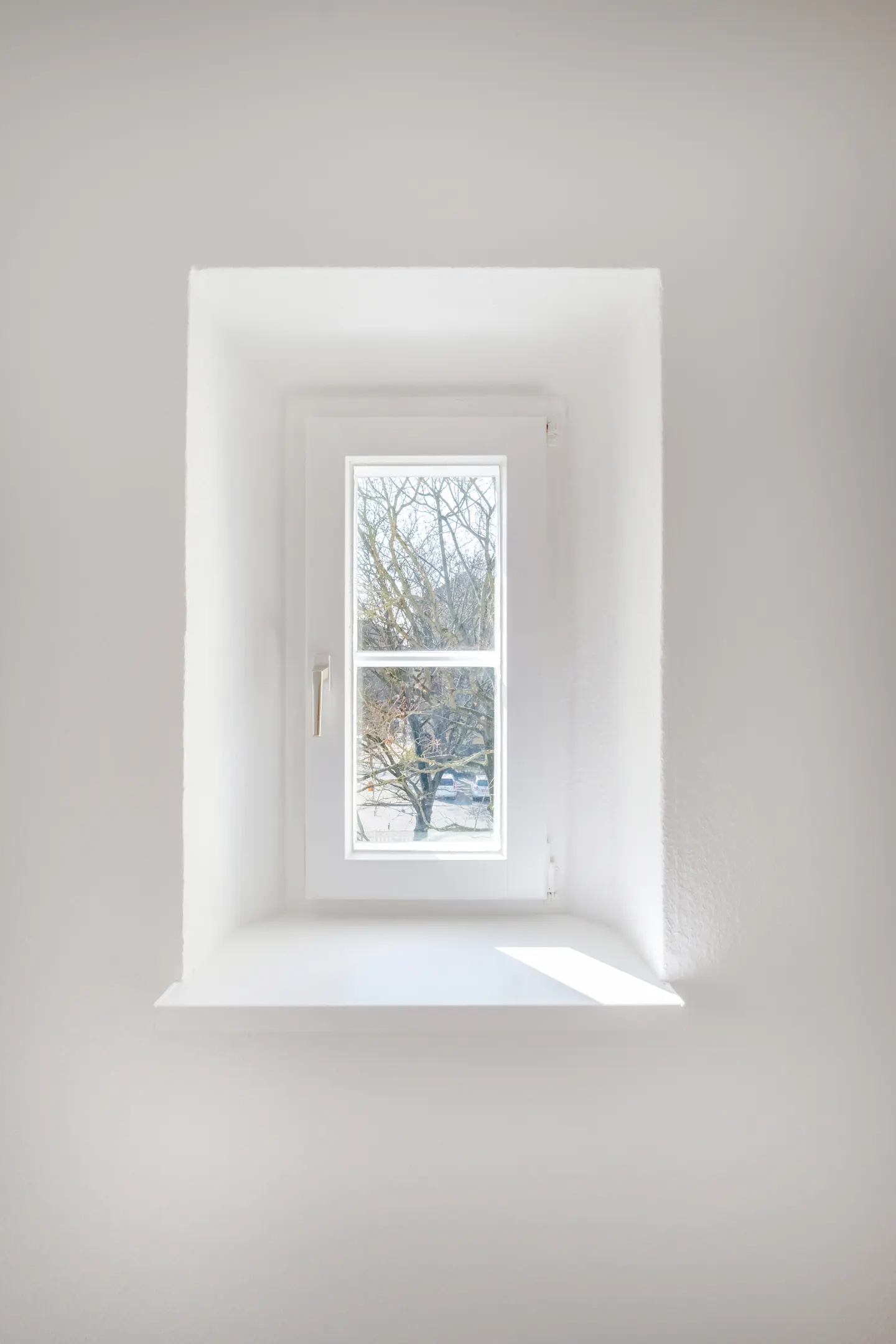 A white-framed window in a white wall, showing a tree and cars outside. Sunlight shines on the windowsill.
