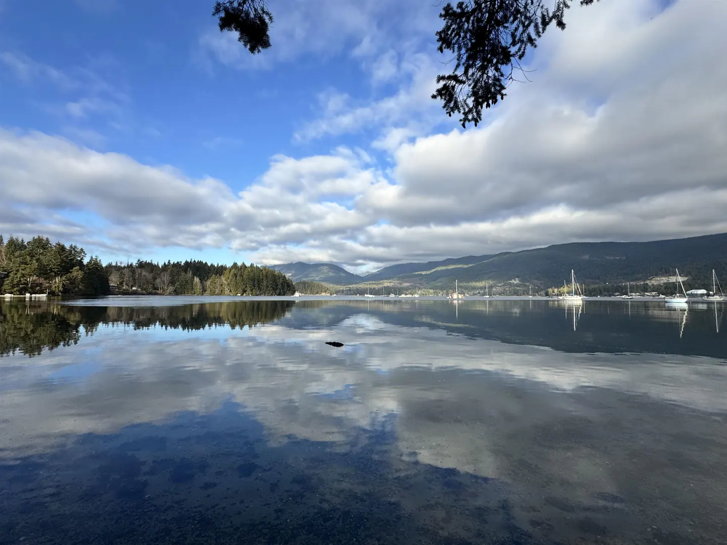 Scenic view of a calm lake reflecting the sky, trees, and distant mountains. Sailboats are visible in the background.