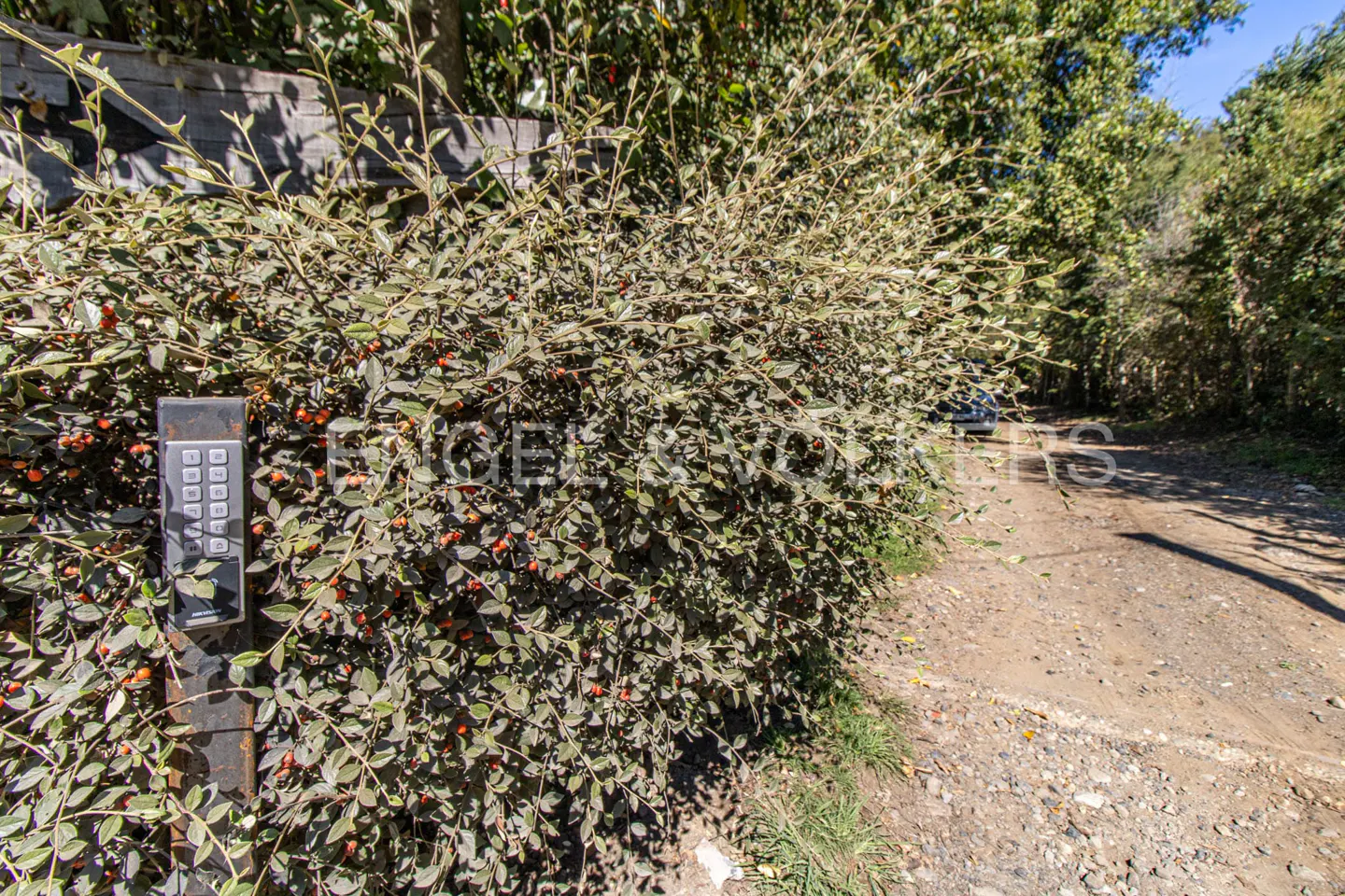 A keypad entry system sits beside a leafy hedge, leading to a dirt driveway.