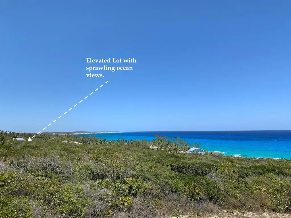 Ocean view from an elevated lot. Green shrubs in the foreground, turquoise ocean and blue sky in the background.