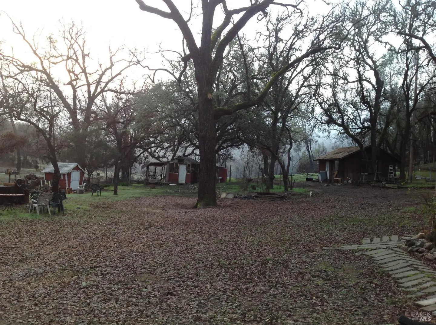Overcast view of a leaf-covered yard with trees, sheds, and chairs.