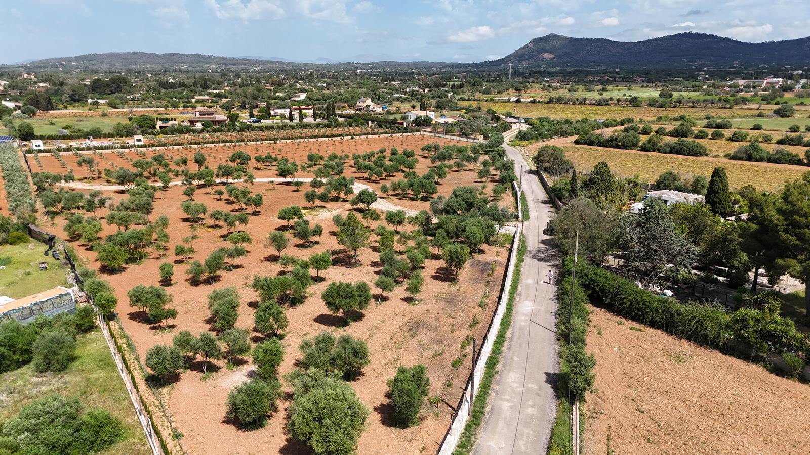 Building Plot in Llucmajor – Mediterranean Charm Meets Prime Location