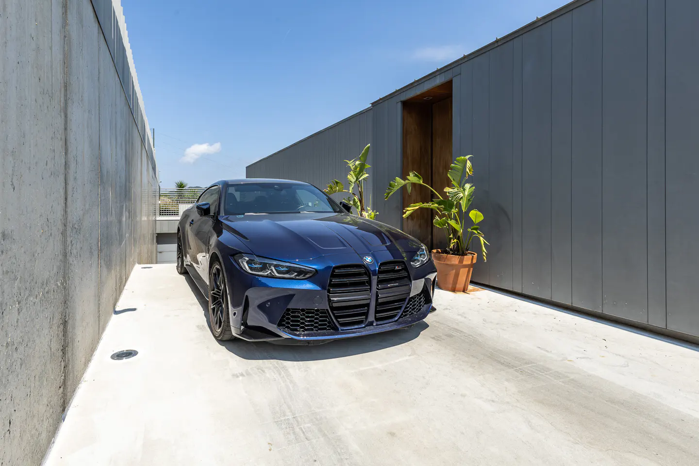 A dark blue BMW parked on a concrete driveway between a modern gray wall and a contemporary home entrance with a plant.