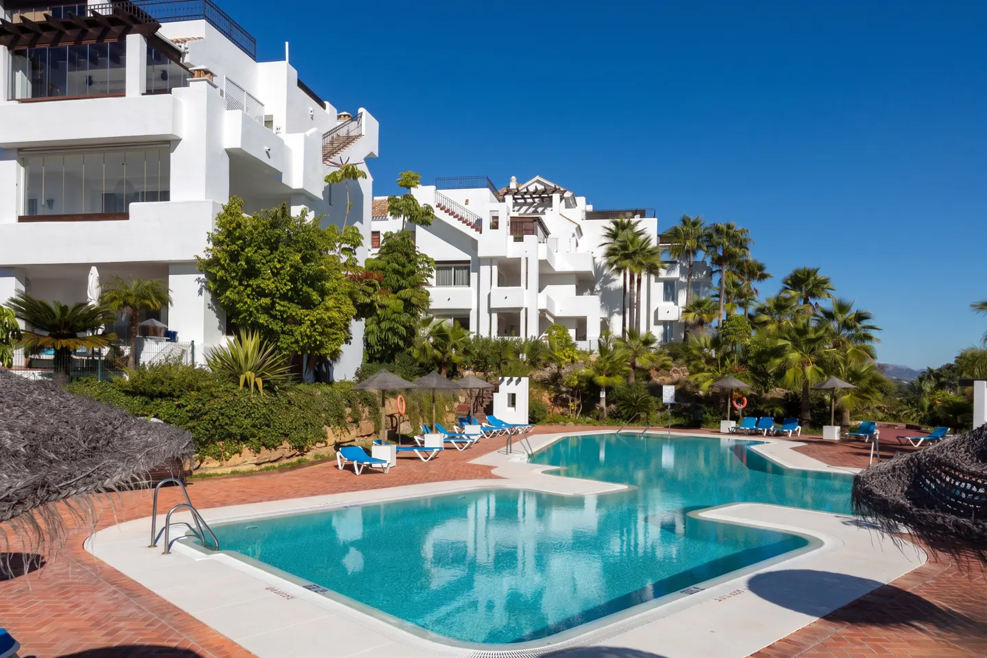 A bright, sunny view of a turquoise pool surrounded by white buildings, palm trees, and lounge chairs.
