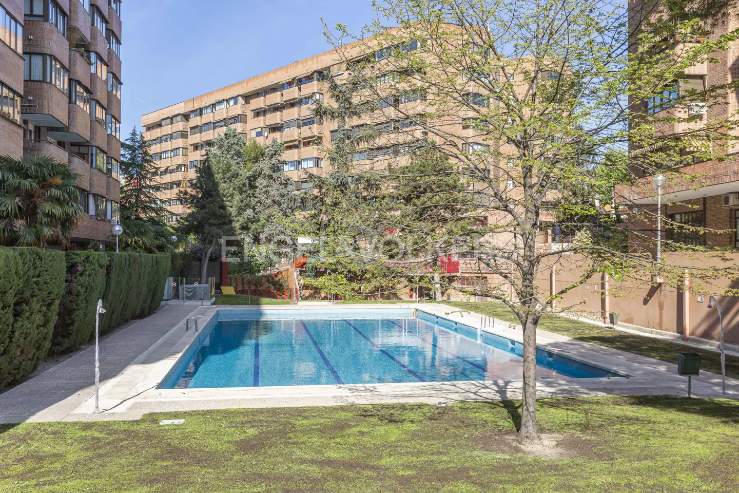 Outdoor pool with blue water and lane lines, surrounded by green grass, trees, and brick apartment buildings on a sunny day.