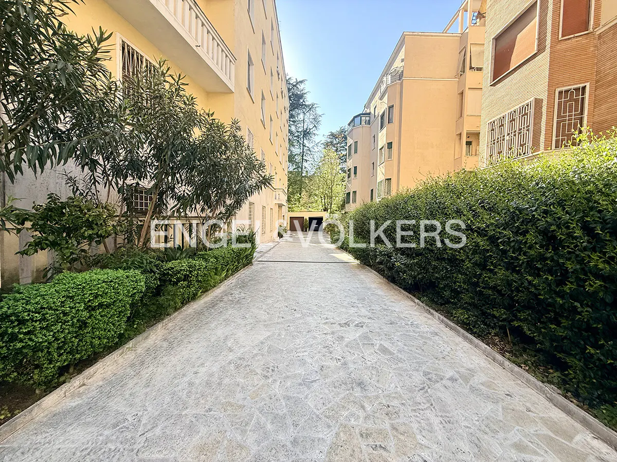Exterior view of a stone driveway leading to a building, bordered by green hedges and trees.