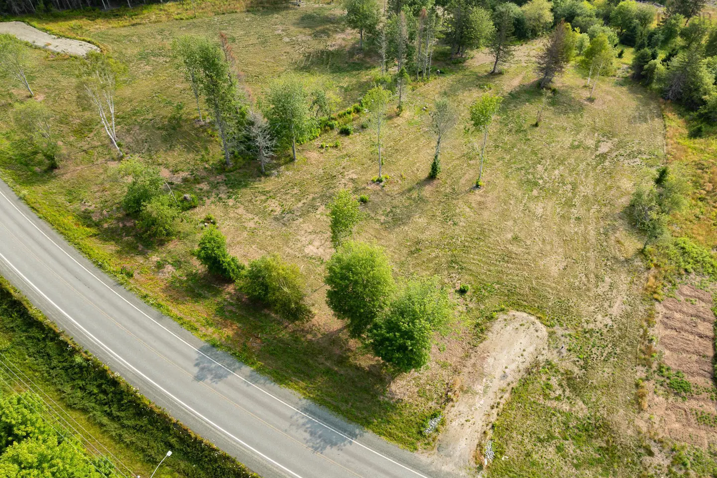 Aerial view of a grassy lot with scattered trees next to a two-lane road.