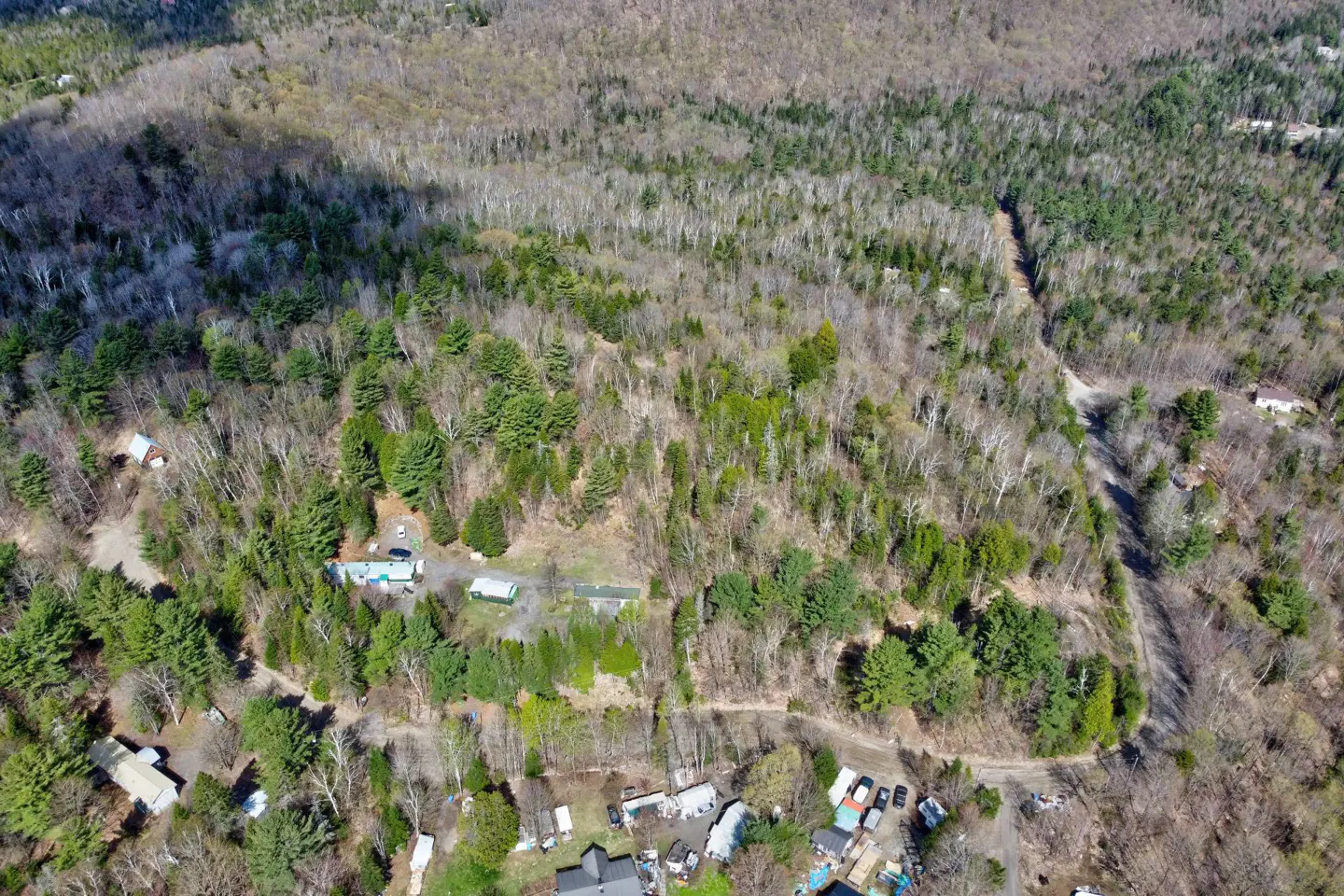 Aerial view of a wooded property with scattered homes and a winding dirt road. Trees are a mix of green and bare branches.