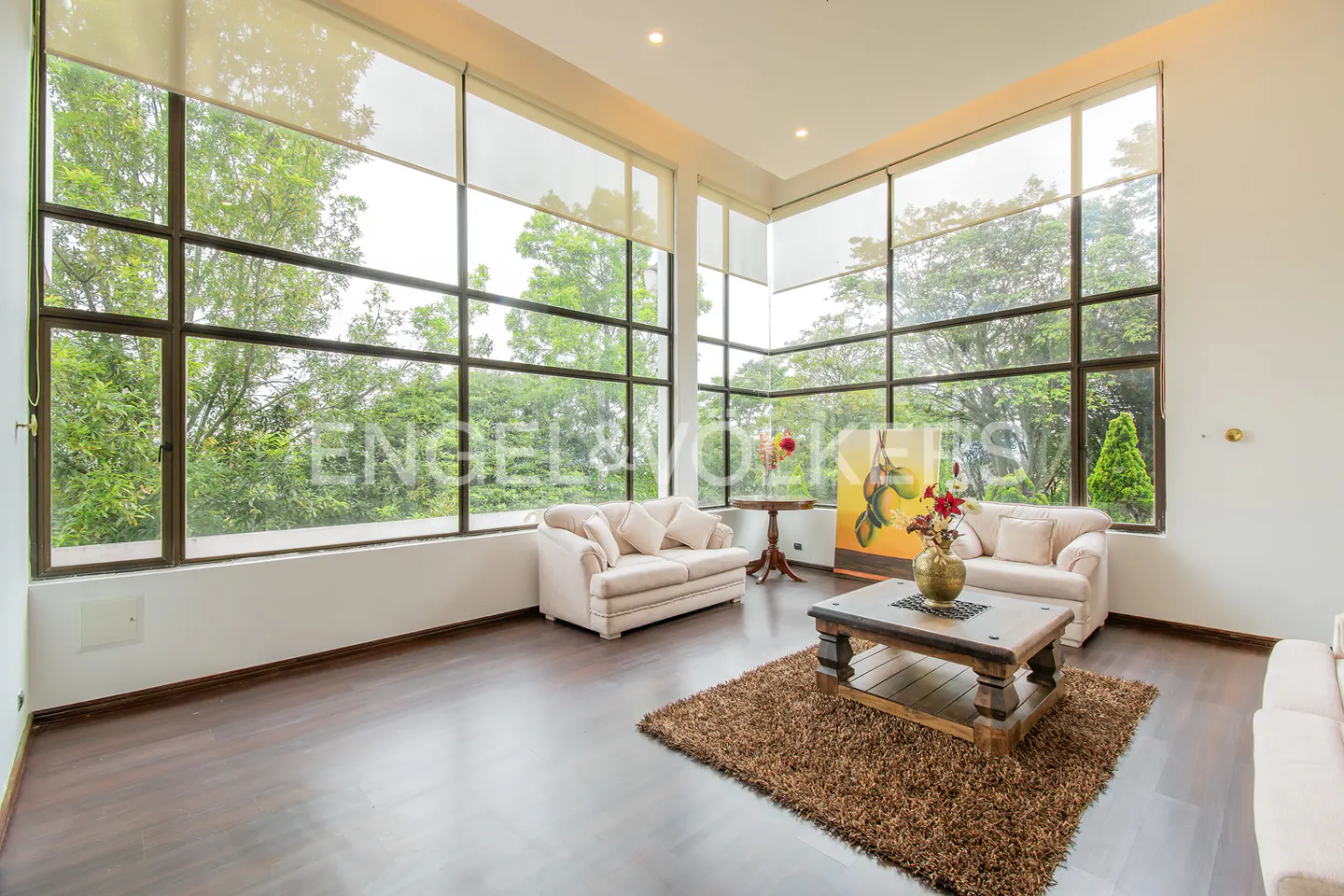 Bright living room with hardwood floors, large windows overlooking trees, two sofas, and a brown shag rug.