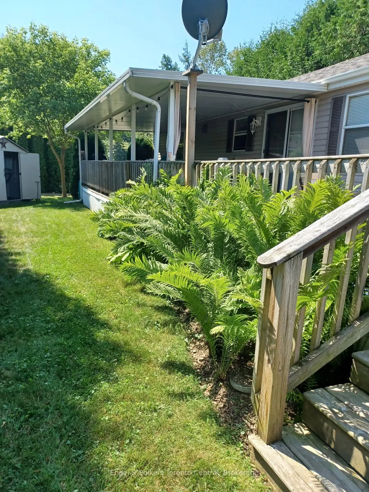 Exterior view of a house with a green lawn, ferns, a deck, and a satellite dish on a sunny day.