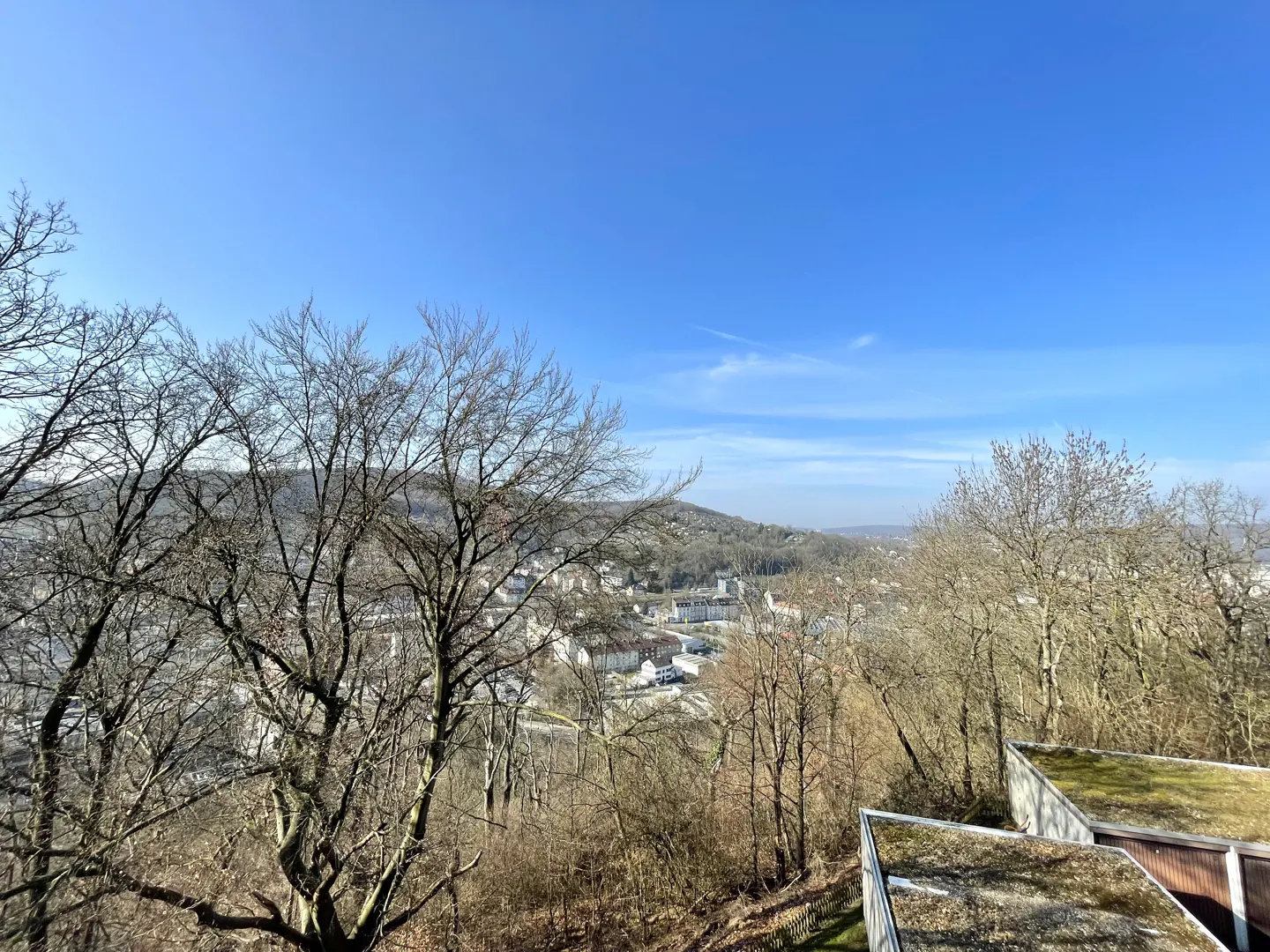 View of a town from a hillside, with bare trees in the foreground and a bright blue sky above.