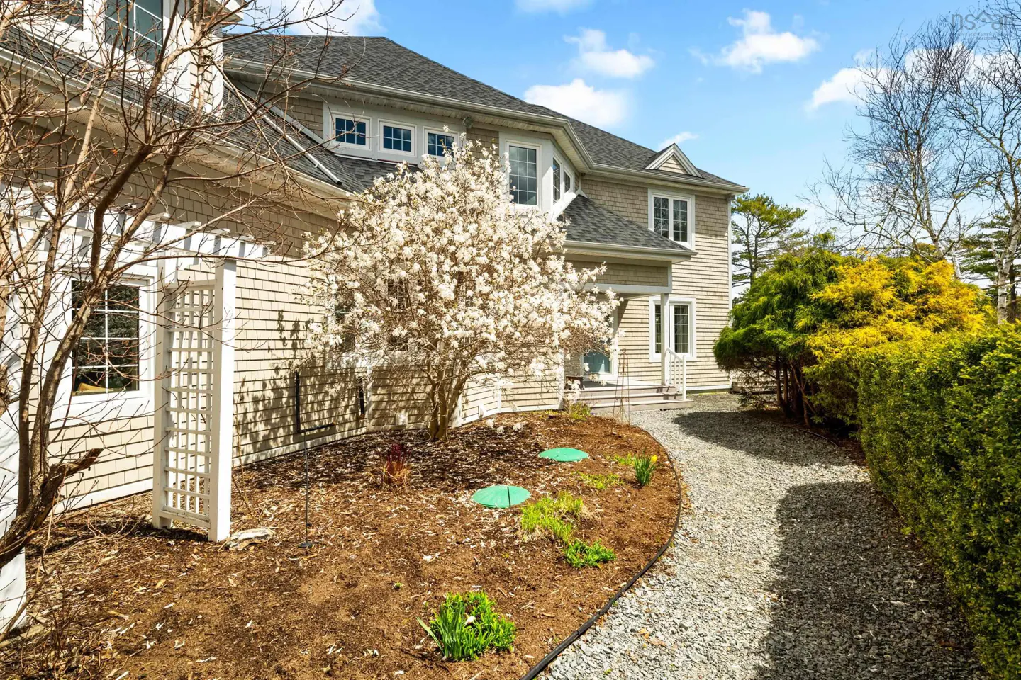 Exterior view of a beige shingle house with a gray roof, white trim, and a gravel path leading to the entrance. A flowering tree is in the front yard.