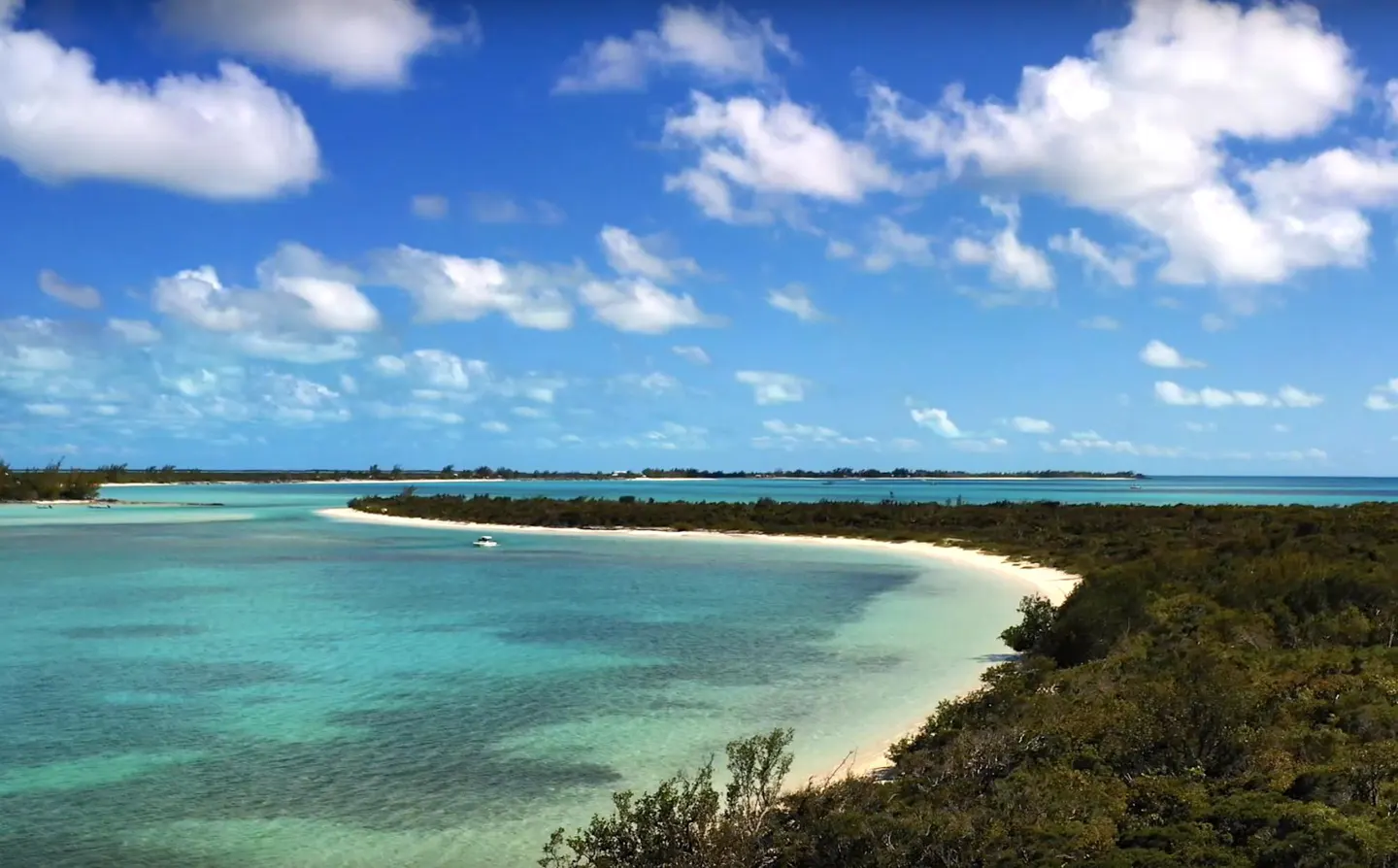 Turquoise ocean view with a white sand beach, green trees, and a blue sky with white clouds.