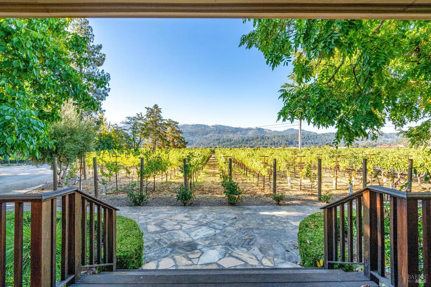 View from a porch with wooden railings, looking out to a vineyard with mountains in the background under a blue sky.