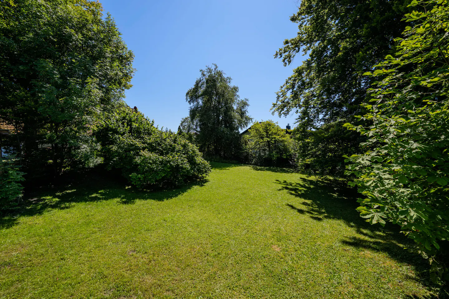 Lush green lawn surrounded by trees under a clear blue sky.