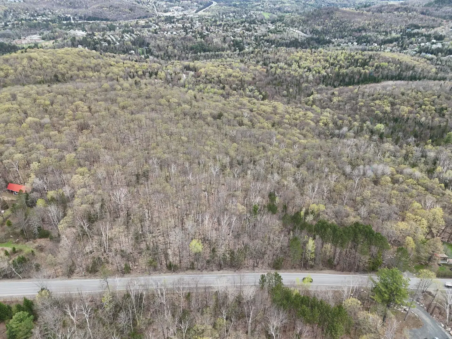 Aerial view of wooded land with a road running through it. Trees are mostly bare with some new green growth. Distant hills and a town are in the background.