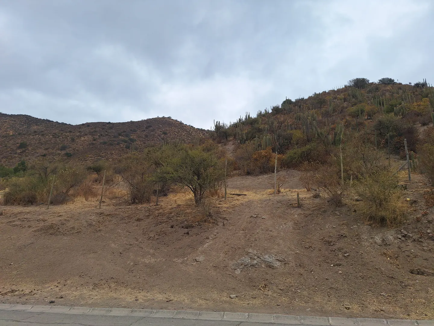Hilly landscape with cacti and shrubs under a cloudy sky. Brown and green vegetation covers the slopes.