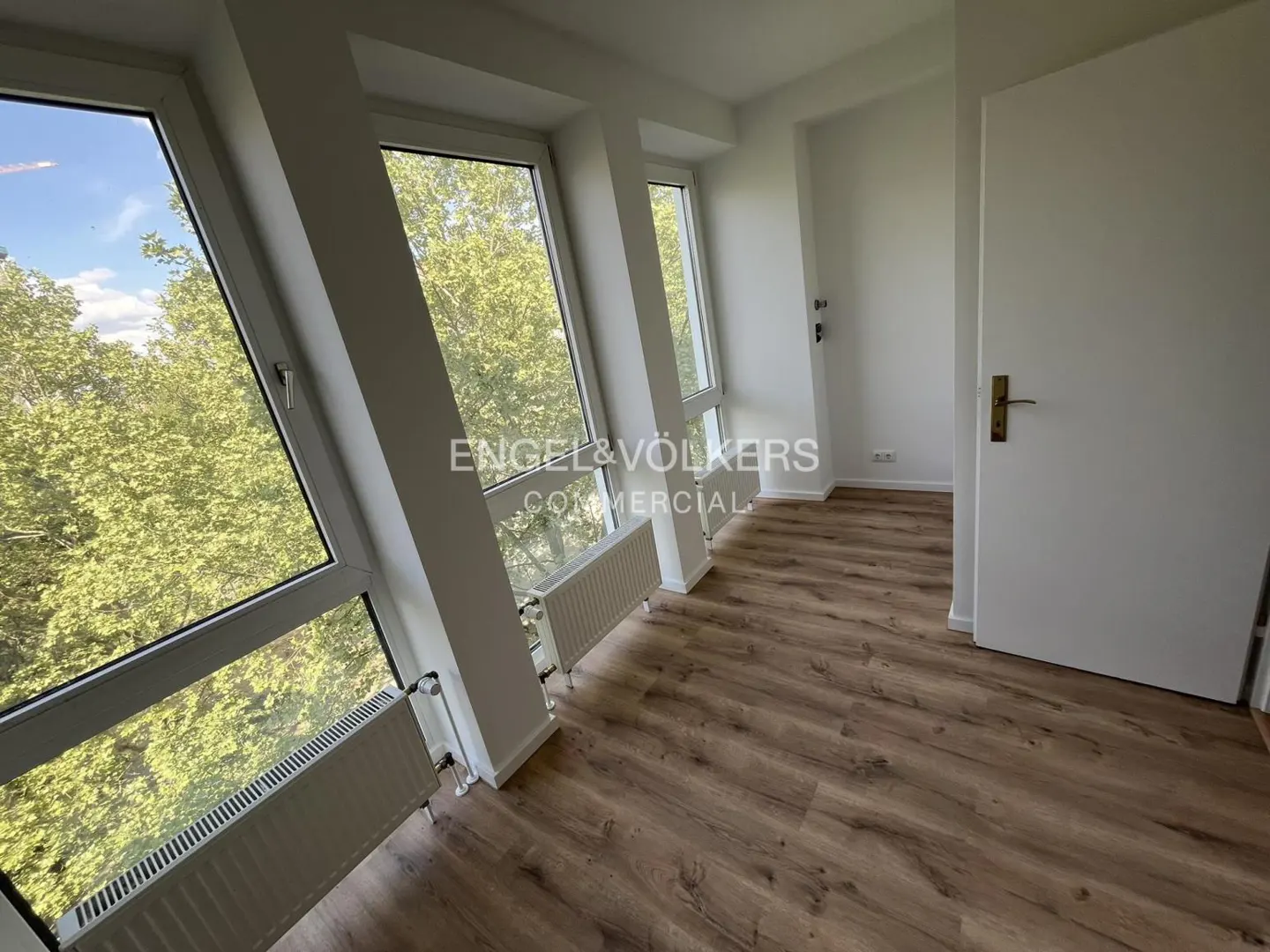 Bright, empty room with wood floors, white walls, and large windows overlooking green trees. Radiators are under the windows. A white door is on the right.