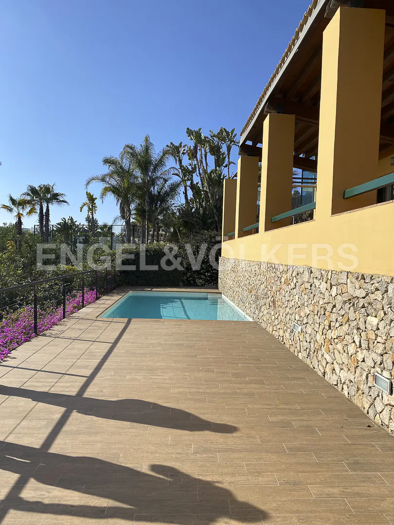 A sunny patio with wood-look tiles, a stone wall, and a swimming pool, set against a backdrop of palm trees and blue sky.