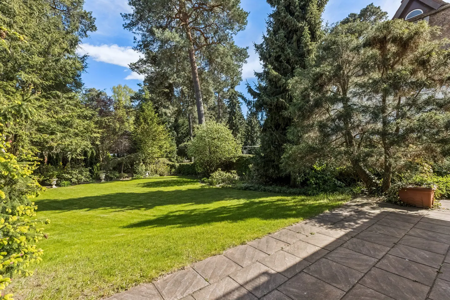A lush green lawn surrounded by tall trees, viewed from a stone patio.