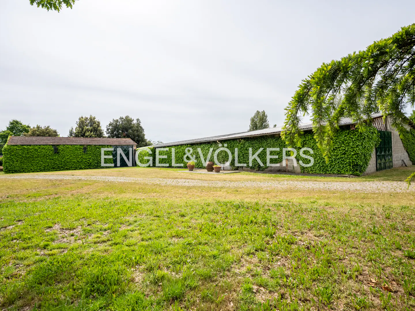 Exterior view of an Engel & Völkers building covered in green ivy, with a large lawn in front.