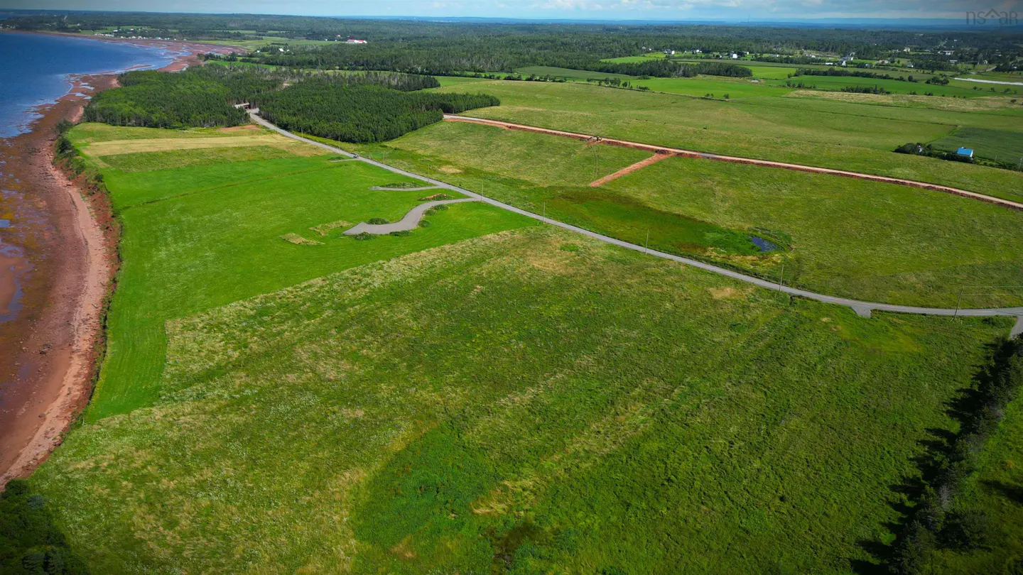 Aerial view of a green field with a road running through it, near a coastline and forest.