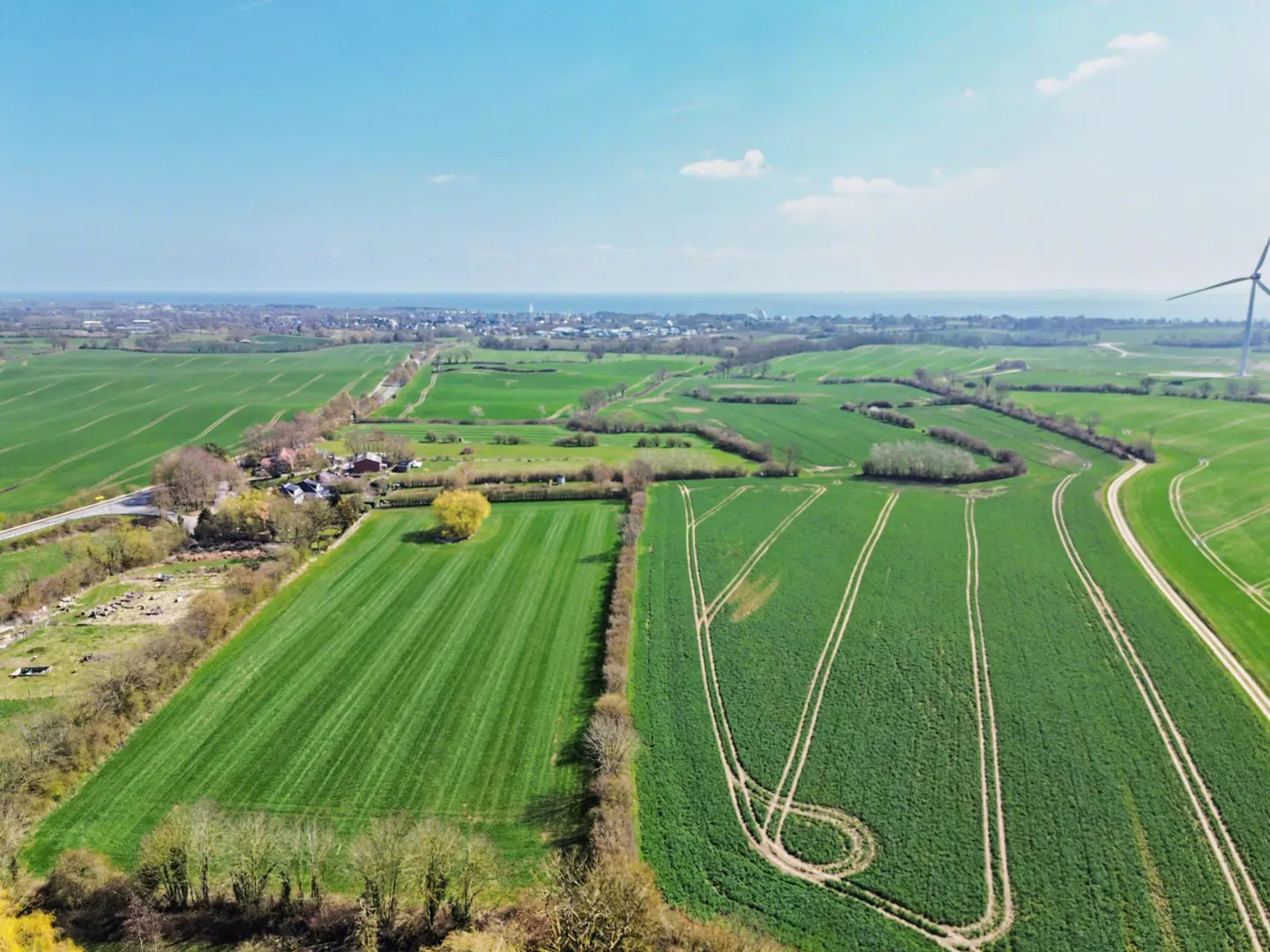 Aerial view of green fields with tire tracks, a yellow tree, and a distant town by the sea under a blue sky.