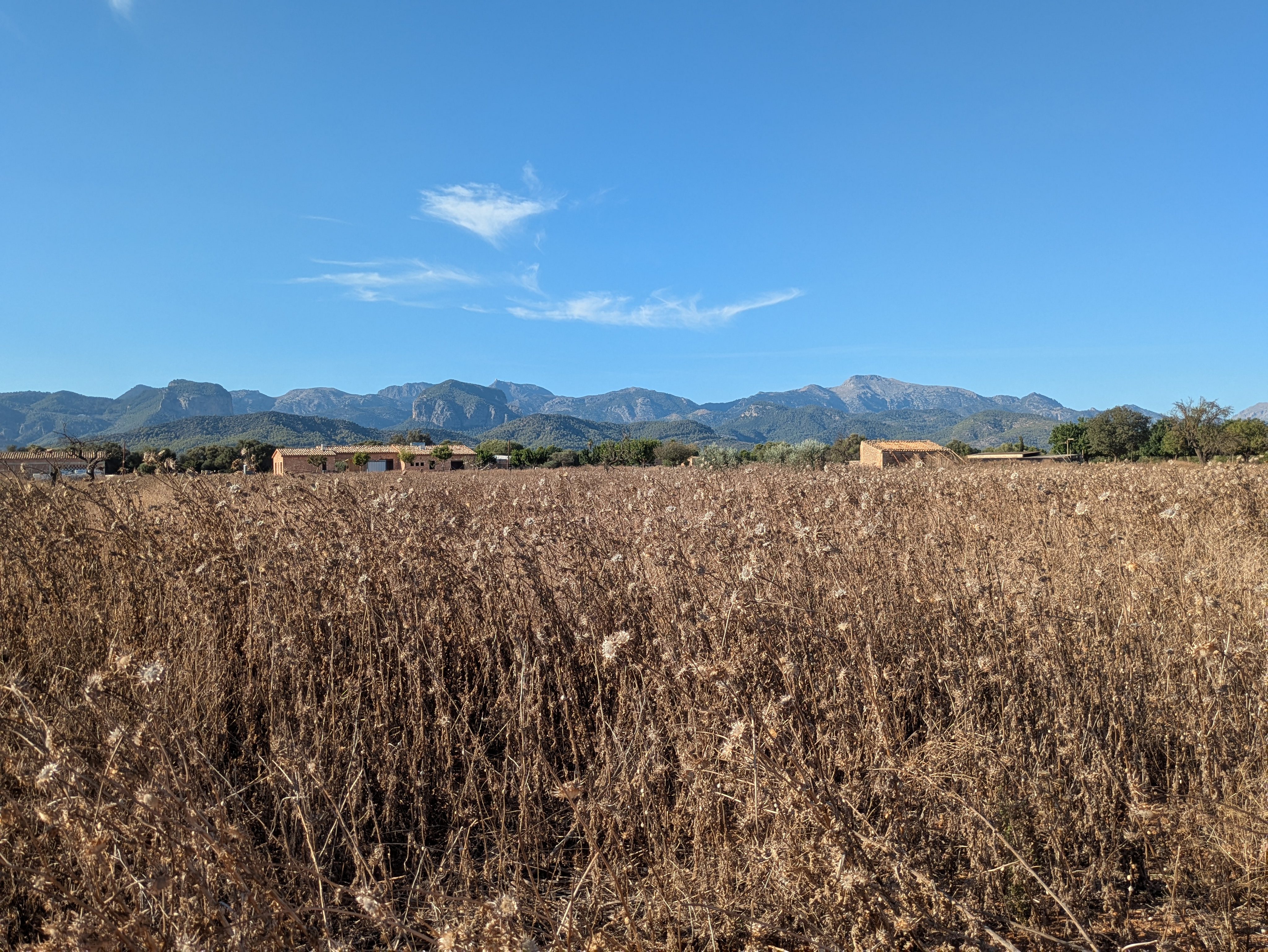 Exclusive building plot with approved project and breathtaking Tramuntana views