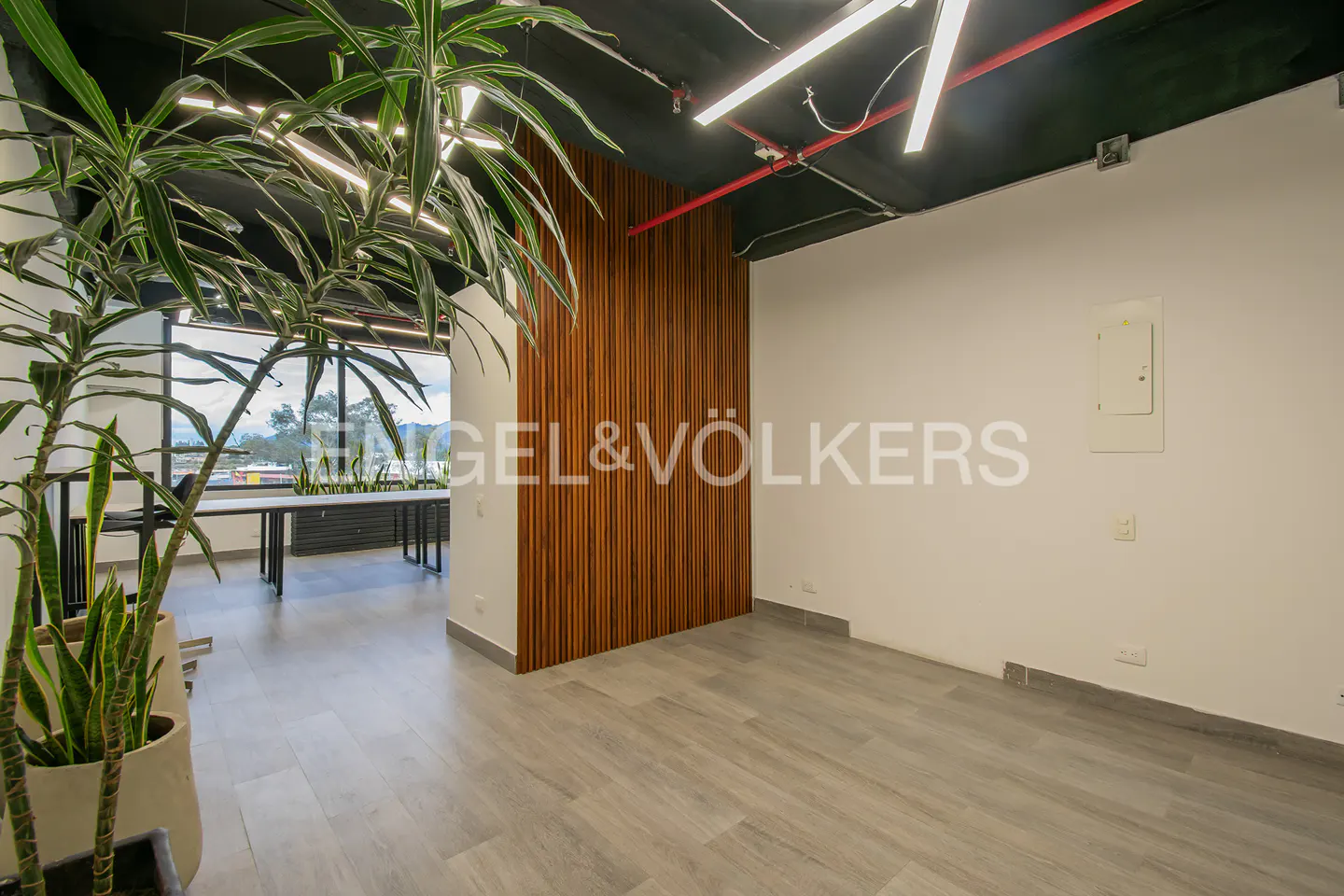Bright office space with wood accent wall, gray floors, and potted plants. Engel & Völkers logo visible.