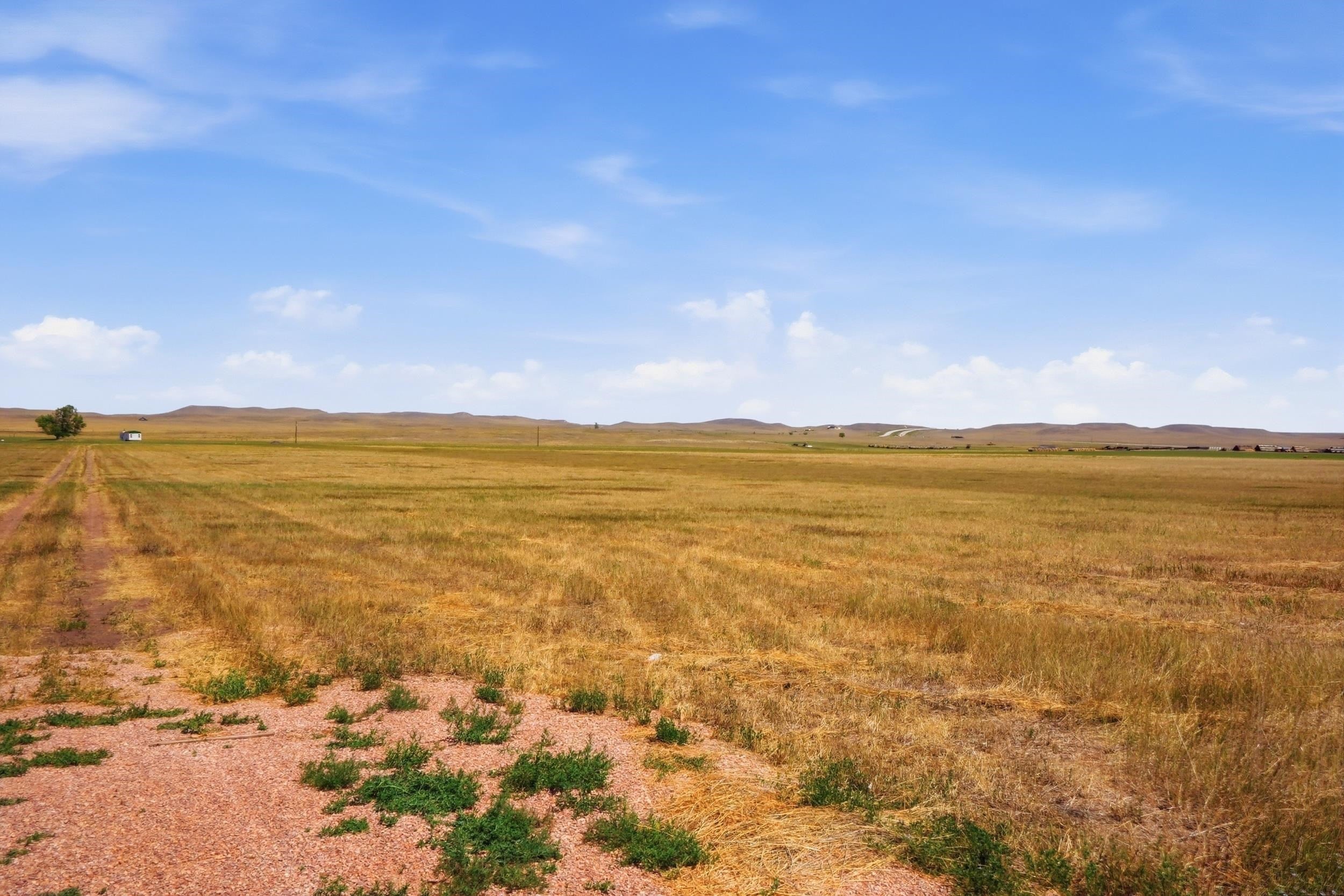 Land In The Black Hills