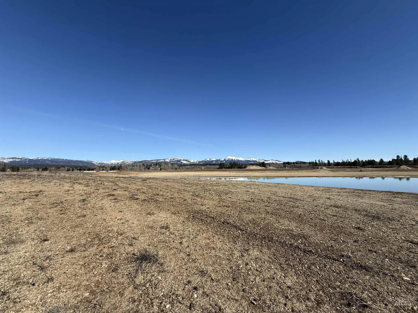 Wide shot of a dry, brown field with a small pond, trees, and snow-capped mountains under a clear blue sky.