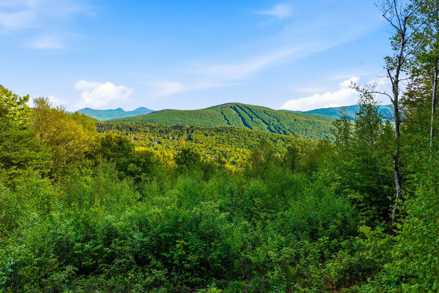 A scenic view of lush green mountains under a bright blue sky with light clouds, framed by trees in the foreground.