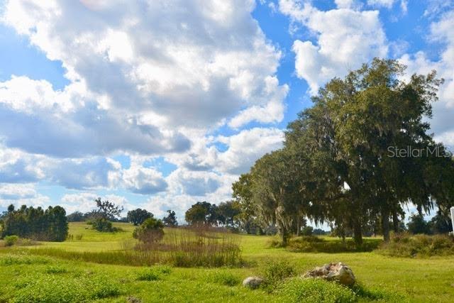 Stunning 10.26 Acres With Build Pad & Utilities