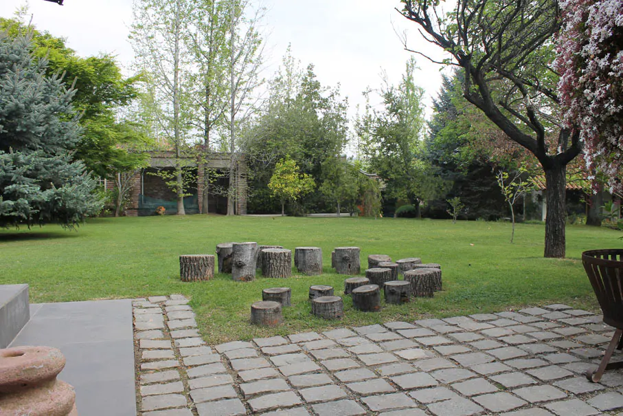 A backyard with a stone patio, a circle of tree stump seats on the lawn, and various trees and plants.