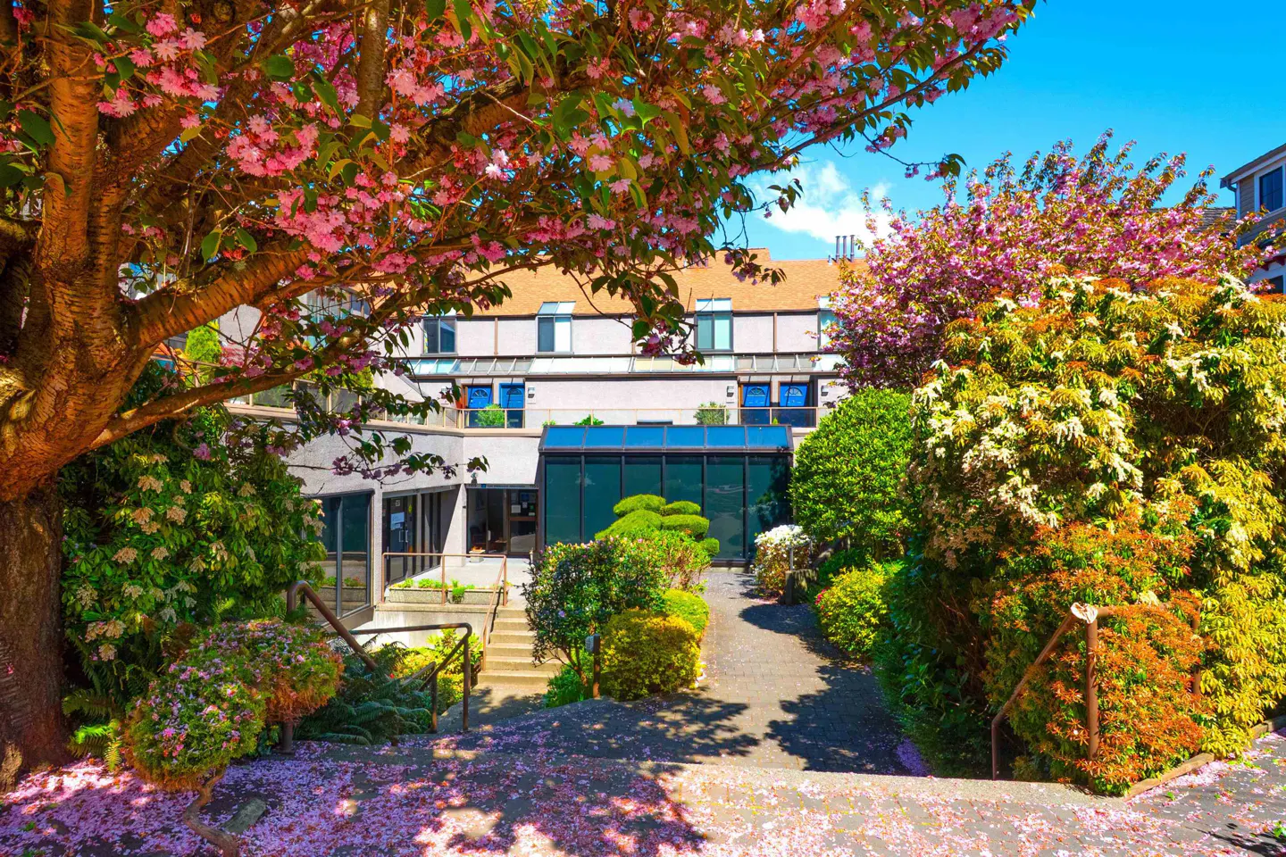 Exterior view of a building with a glass entrance, surrounded by lush greenery and pink cherry blossom trees.